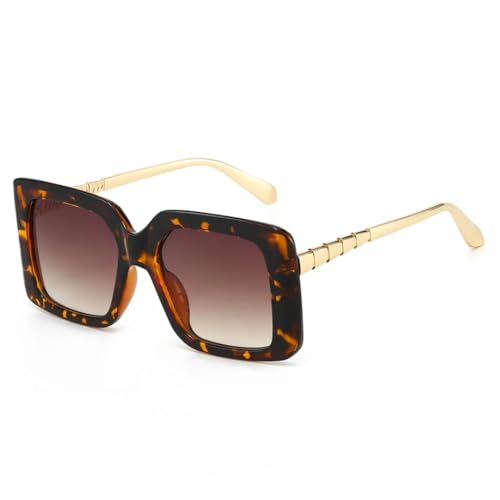 Lunettes de soleil pour femmes punk chic verres dégradés protection solaire 3244-C3