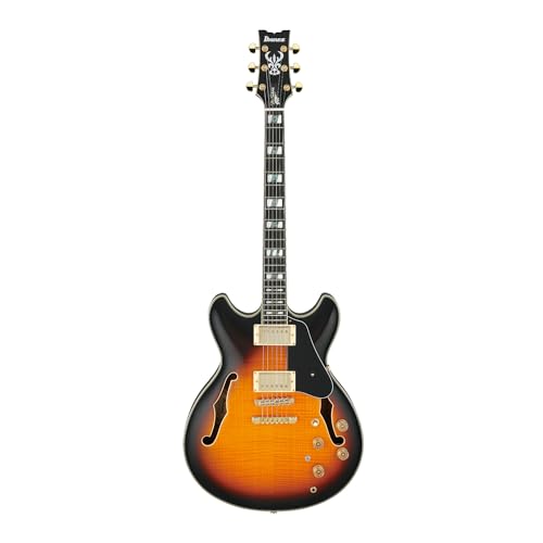 Ibanez アイバニーズ JSM10 John Scofield シグネチャー Semi-Hollowbody エレキギター Vintage Yellow Sunburst エレキギター エレクトリックギター (並行輸入)