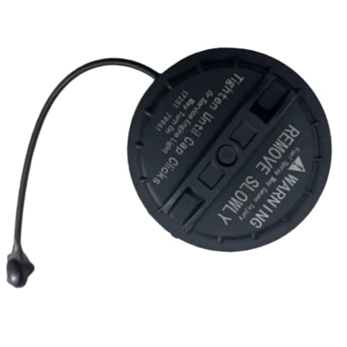 Bouchon de réservoir d'essence Infiniti G35 M35 M45 pièce joint étanchéité 17251AR201