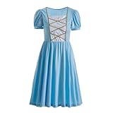 Ruikajia Adults Cinderella Twirl Princess Dress-Up Costume for Adult Women cosplay Dresses Large