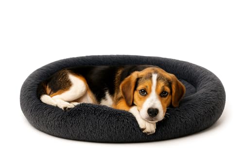 Image of ZEXSAZONE Winter The Round Doughnut pet Bed is Perfect for Indoor Dogs Mat Round Foam Pet Bed | Dog Bed | Cat Bed | Puppies Puppy Bed | Puppies Winter, Summer