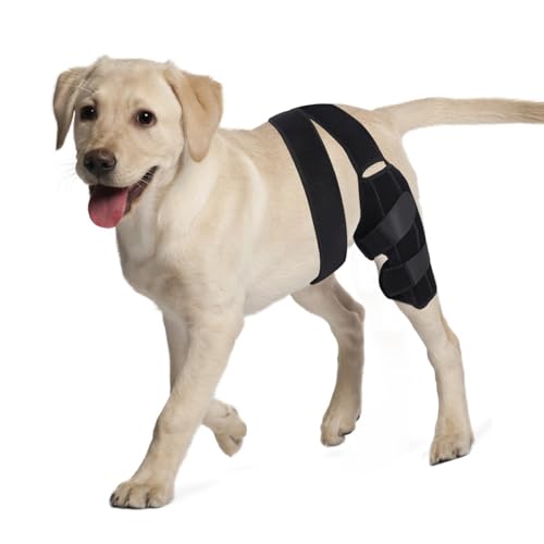 Image of Dog Knee Brace,Adjustable Dogs Rear Leg Braces for ACL with Cruciate Ligament Injury,Reduces Joint Pain and Muscle Sore Inflammation. (S)