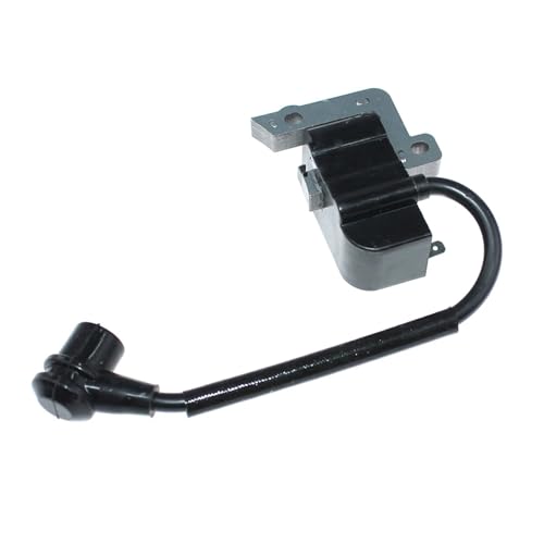 Bobine d'allumage pour résoudre les problèmes de démarrage SRM-2450 - 2