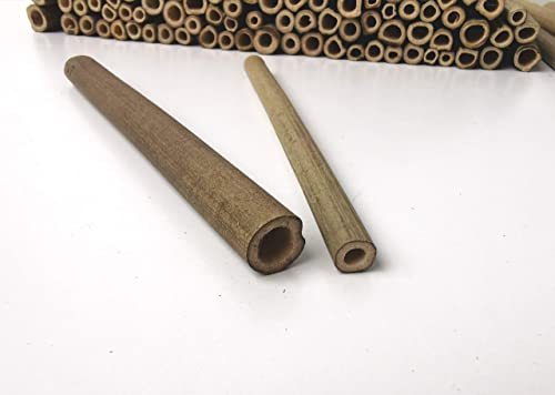 aktiongruen Mega Pack Bamboebuisjes insectenhotel knutselspullen 200 nestbuizen 17 cm met 300 g leempoeder - Image 5