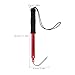 Ciieeo Telescopic Stainless Steel Fishing Gaff with Red Rubber Handle, Retractable Ocean and Ice Fishing Hook Prop for Saltwater Anglers