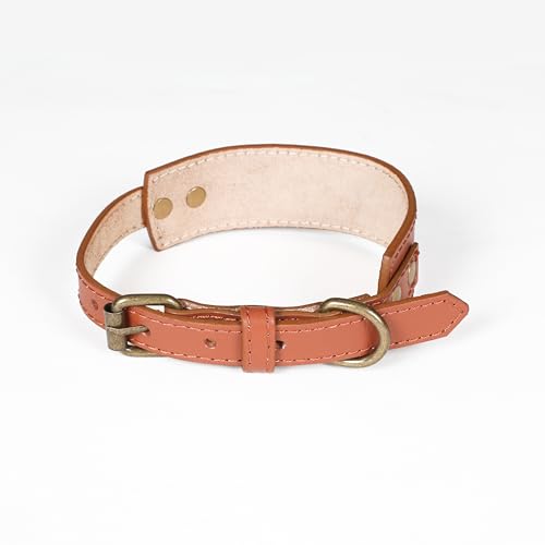 Ensemble collier et laisse pour chien en cuir souple marron clair 45cm - 6