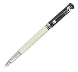 Abcsea Fountain Pen Y3 Fish Scale Pattern Medium Nib with Pen Pouch - Silver
