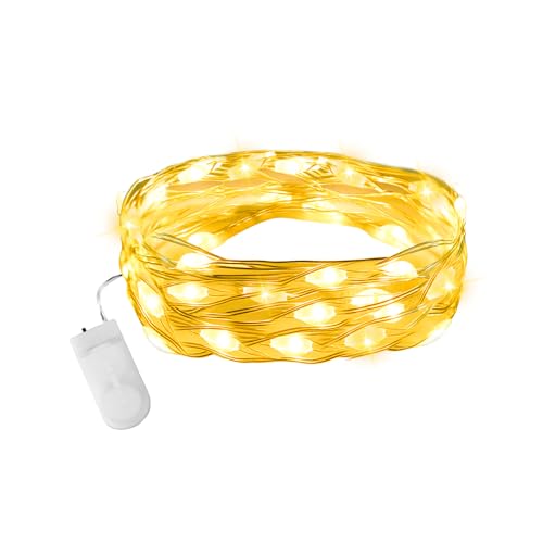 Etopgo Fairy Lights CR2032 Battery Operated,2 Meter 20LEDs Micro Waterproof Copper Wire String Lights for Bedroom Christmas Party Wedding Decoration