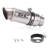 loyfreeyo バイク サイレンサー オートバイ排気口 エキゾーストパイプ 排気管 スリップオンマフラー 汎用マフラー ステンレス製 バンド付属 (シルバー 51mm,斜め)