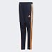 adidas Kids' Youth Tiro19