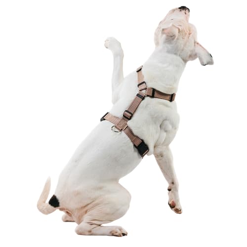 PETFORTA Anatomically Correct Y-Shape Dog Harness, Non-Restrictive, No Pull, 6-Point Adjustable for Natural Movement, Escape-Proof, Reflective, Easy-Fit, Medium, Beige