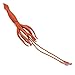 Safari Ltd Wild Safari Sea Life Giant Squid - Realistic Individually Hand-Painted Toy Figurine Model - Quality Construction from Phthalate and Lead-Free Materials - For Ages 3 And Up