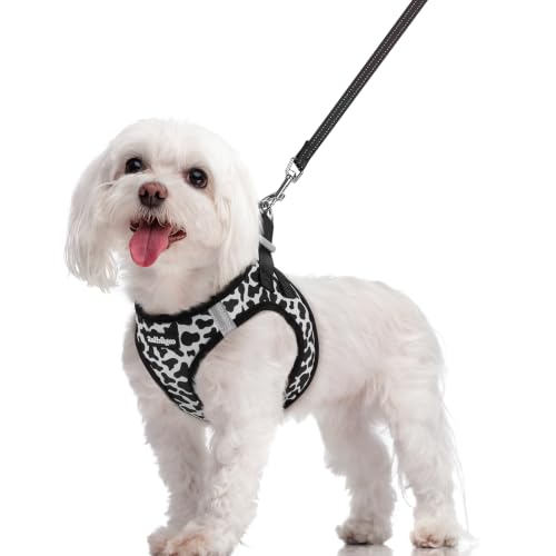 Image of rabbitgoo Dog Harness Medium Sized and Leash Set, Step-in Puppy Pet Vest