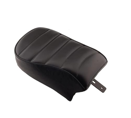 Moto Siège Deux Places pour Échappées en Week-end Selle Arrière Iron XL883N 2016-2017