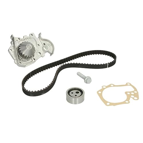 Kit de distribution avec pompe à eau 20 dents 22 mm INA 530019131 pour Kangoo Express
