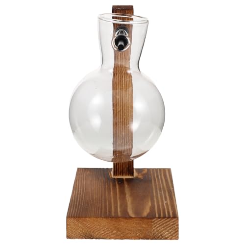 Veemoon Vase Hydroponique Tubulaire en Verre Transparent avec Support en Bois Naturel – Station de Propagation de Plantes D’Intérieur Compacte pour Bureau Maison et Décoration Récipient