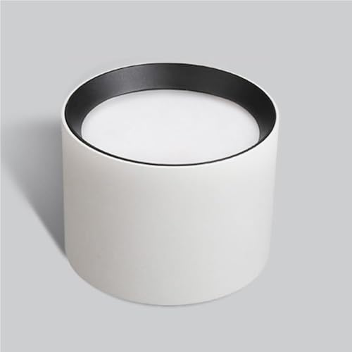 Modern Cylinder Downlight Adjustable White Recessed Ceiling Light Directional Fixture