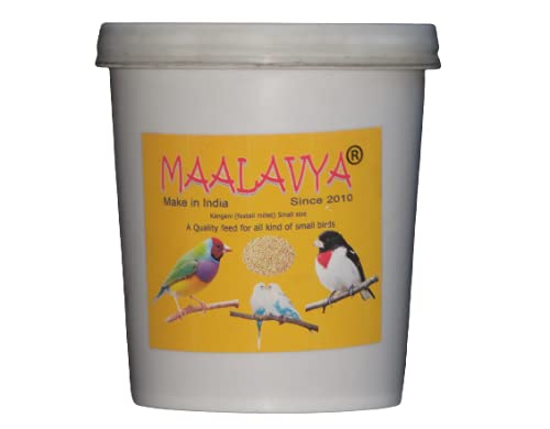 Maalavya Kangani (Foxtail Millet) Small Size A Quality Feed for All Kind of Small Birds 950 Grams (B09HCJGB2Q) Amazon Price History, Amazon Price Tracker
