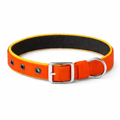 Image of Dog Leash with Padded Handle and Padded Collar Set | Adjustable Nylon Dog Collar & Heavy Duty Leash with Strong Metal Clip | Useful for Small Medium Large Dogs (Orange & Yellow)