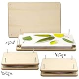 BestNest Nature Press Crafter's Kit, 1 Large & 2 Small