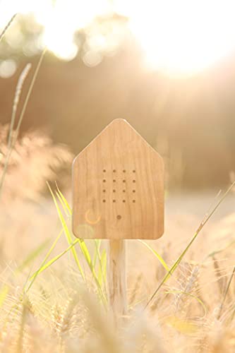 Brainstream Zwitscherbox Sound Therapy Machine With Motion Sensor, Oak(Wood) And White #TOP6