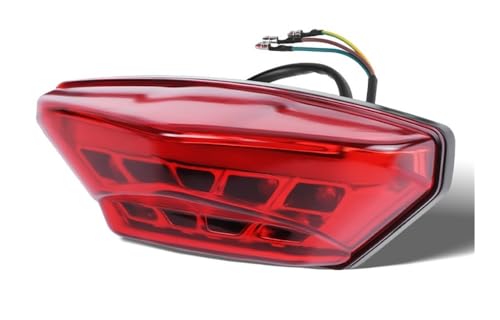 Feu de plaque d'immatriculation moto LED et feu stop arrière universel pour ATV
