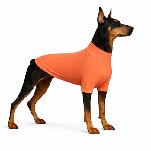 LoveLongLong Spring Summer Cooling Dog T-Shirt with UV Protection and Moisture-Wicking Fabric Blank Color Lobster Pink 2XL
