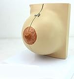 ★ Gilt für Schulen, Krankenhäuser und im Sportunterricht.