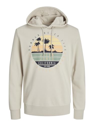 JACK & JONES Jjsummer Vibe Sweat Hood Sudadera con Capucha, Moonbeam, L para Hombre