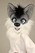 Oneandonlycostumes grey wolf fursuit head and tail handmade, regulated jaw