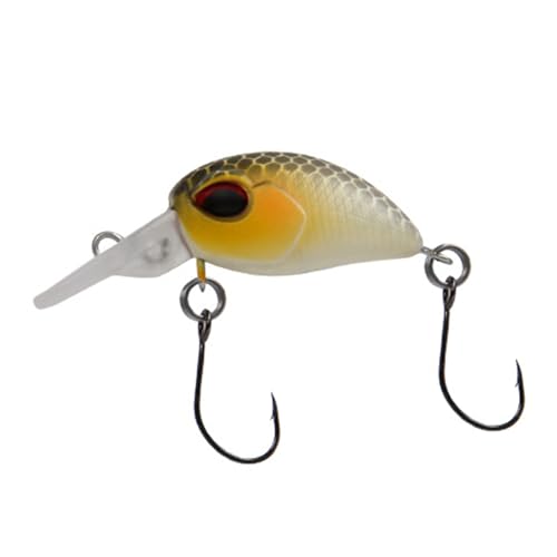 �_�u���t�b�N�ƃ��A���ȃX�C�~���O�p�^�[����������t�@�X�g�V���L���O�t�B�b�V���O���A�[�B�t�b�N�A�b�v�����B�����V���L���O���A�[�B