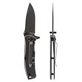 Skallywag Tactical Mini Jack Folding Knife – Compact 2.75” Assisted Opening Blade, 420 Stainless Steel, Titanium Coated, Frame Lock, Everyday Carry Micro Folder