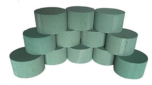 Decoflorales MOSY 12 x Steckschaum Zylinder für Frischblumen, D 8 cm/H 5 cm - Deutsche Markenqualität Cover