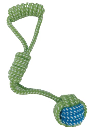 Kit Brinquedos Para Cachorro - 4 Brinquedos de Corda