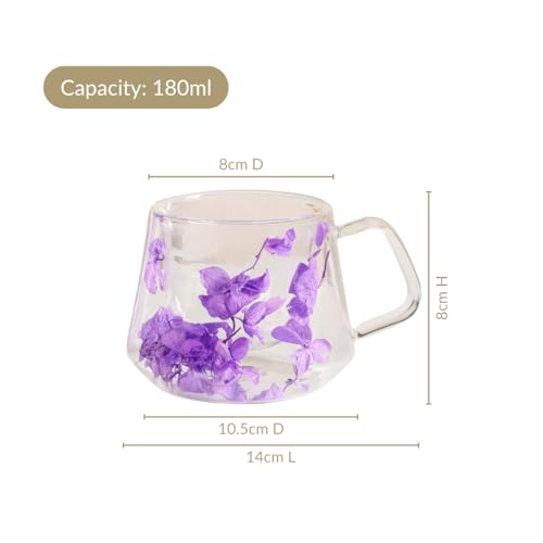 Image of Nestasia Double Wall Glass Mug with Dried Flowers Set of 2 (180ml Each) - Transparent Borosilicate Floral Glass Tea Cups | Lightweight & Durable Coffee Mugs - Perfect for Gifting (Purple)