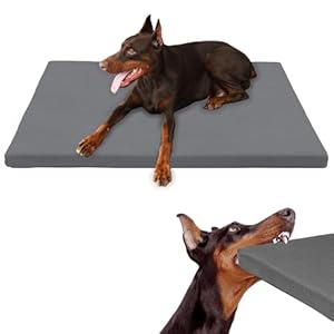 Durable Outdoor Dog Bed Waterproof Washable Cover up to 35 lbs Medium Sized Dogs