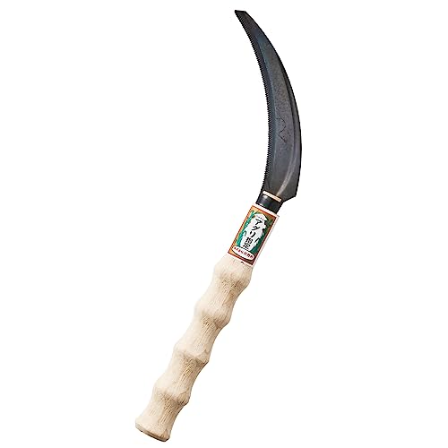 g  AOw ׂ Y { El   ؂̎n G  ז