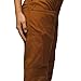 prAna Women's Kanab Pant, Clay, M