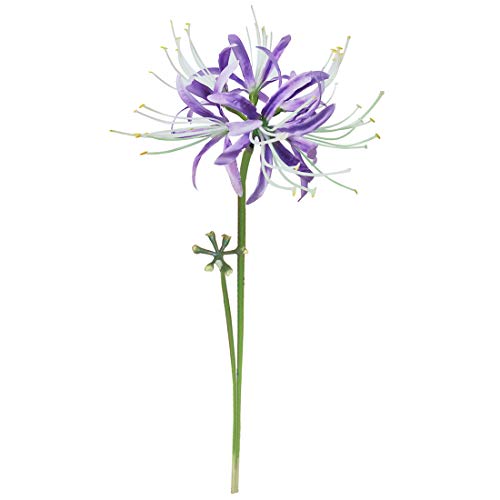 Image of 6 Stems 26.38 Inch Artificial Lycoris Radiata Spider Lily Flowers for Home Garden Decoration (Purple)