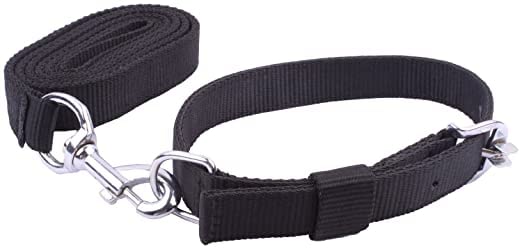 Dog Trust Dog Neck Collar Waterproof Belts with Lease for All Breeds Size Dogs (B09Y14W1LG) Amazon Price History, Amazon Price Tracker