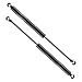2 Pcs Front Hood Lift Supports Shocks Struts Gas Charged For 1982-1992 Chevrolet Camaro Pontiac Firebird