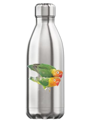Termo de acero inoxidable de 350 ml con diseño de loros de colores 2