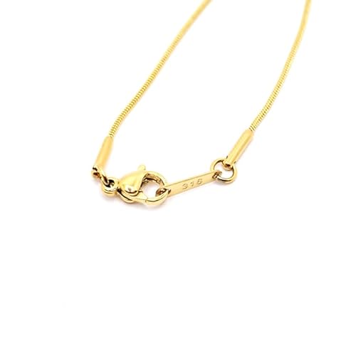 [p[c[h] lbNX `F[ fB[X 316L T[WJXeX [ AM[Ή ] yS[hyׁzz40cm 45cm 50cm 60cm Y fB[X ubN K18bL ×pXeX (yׁz18.Xl[N