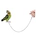 Levemolo Stainless Steel Parrot Ankle Foot Ring Durable Bird Foot Harness for Pet Training and Outdoor Activities Secure Fit for Parrots and Other Birds