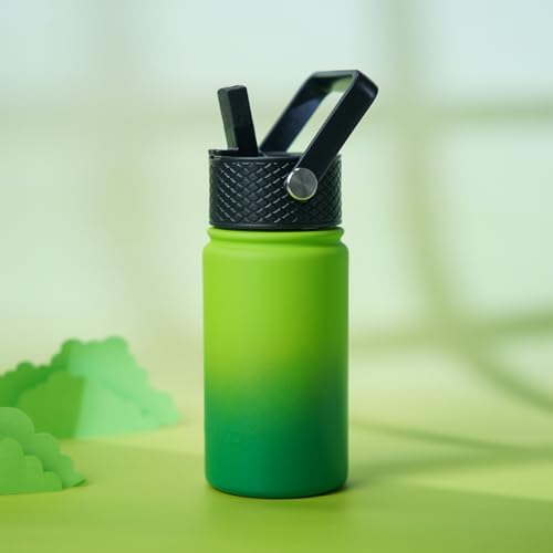 Image of BJPKPK Insulated Water Bottle, 15oz Stainless Steel with Straw Lid