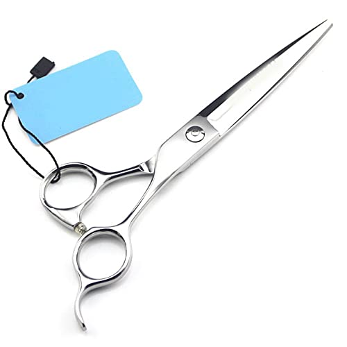 Ciseaux à cheveux pour barbier rangés sur support inox élégant - 2
