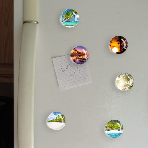 Glass Fridge Magnets, Beach Coconut Grove Pretty Refrigerator Magnets For Kitchen School Office Cabinet Refrigerator Whiteboard Photo 6Pcs #TOP4
