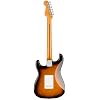 Fender Stories Collection Eric Johnson 1954 Virginia Stratocaster - 2-Color Sunburst Bundle with Case, Cable, Strap, and Guitar Cleaning Kit