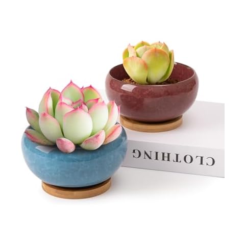 Dashare 5.2 Inch Ceramic Succulent Planter Pot, Ice Crack Glaze Handicraft Porcelain Garden Pots with Drainage Bamboo Tray Set of 2, Flower Cactus Planter Bowl for Home Garden Office Decoration Cover