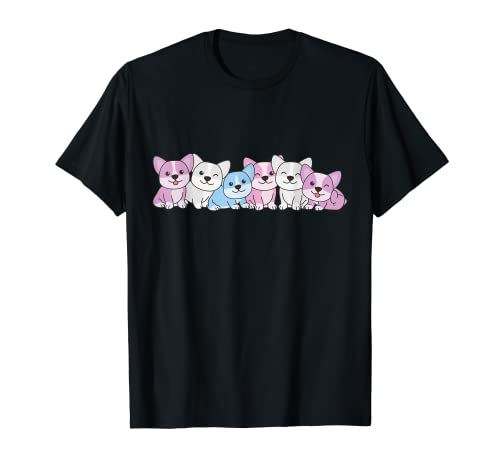 Intersex Flag Pride Lgbtq Hunde Intersex Corgi T-Shirt